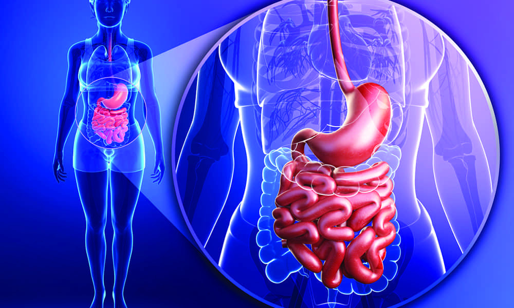 SIBO Symptoms, Causes, and… Cary Gastroenterology Associates