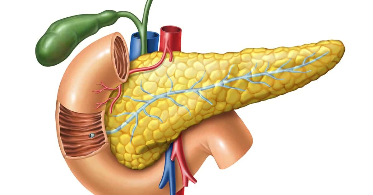 Acute Pancreatitis: Causes | Cary Gastroenterology Associates