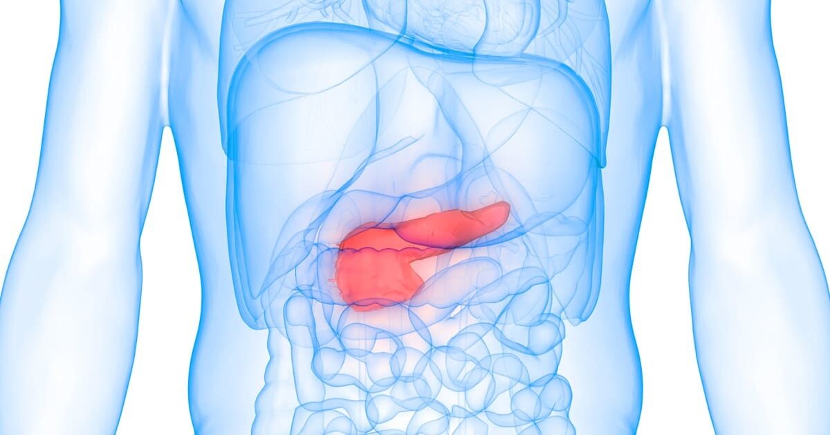 Cary Gastroenterology Associates | VIPoma: Overview, Symptoms, and… Cary Gastroenterology Associates | VIPoma: Overview, Symptoms, and…