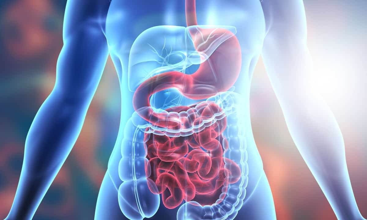 Cary Gastroenterology Associates | Getting to Know Your Digestive…