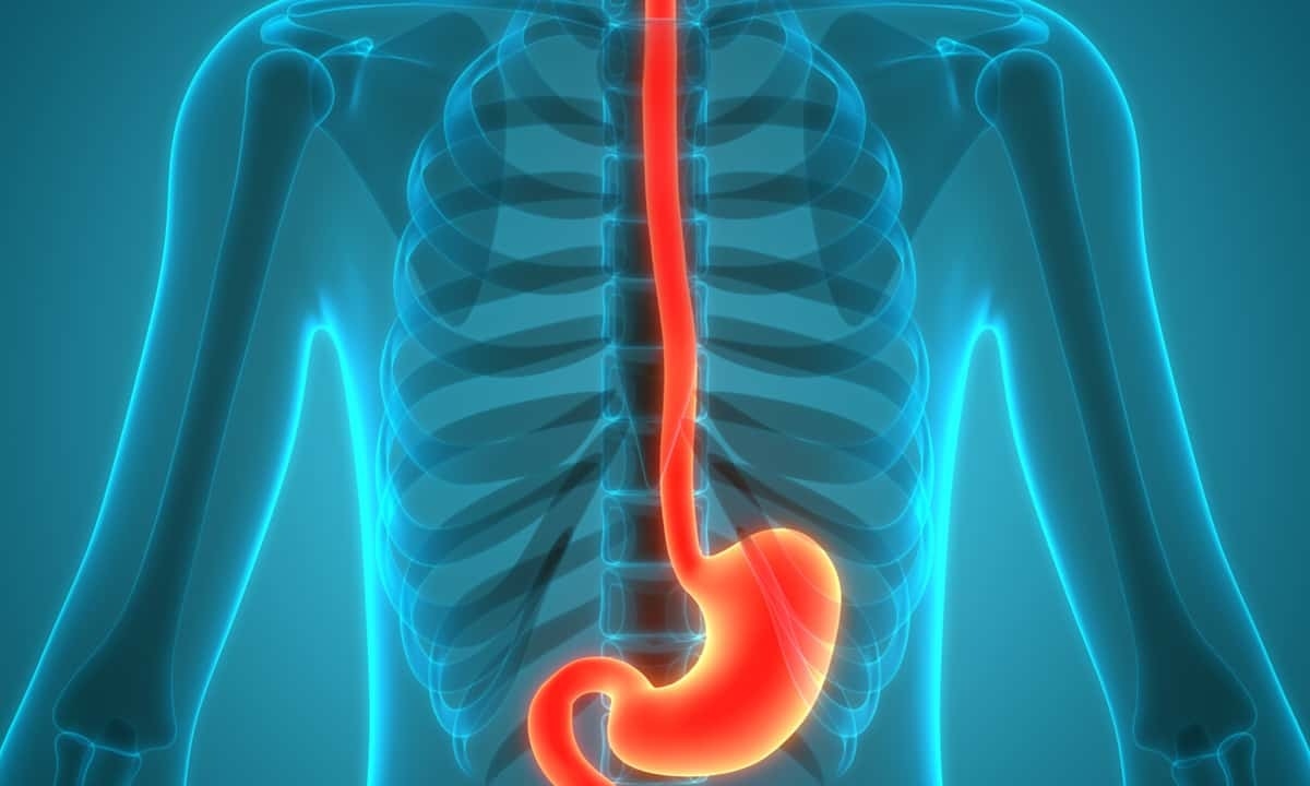 Eosinophilic esophagitis | Allergy, Asthma & Clinical Immunology | Full Text