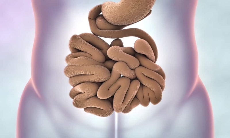 Cary Gastroenterology Associates  The Bristol Stool Chart: What Type…