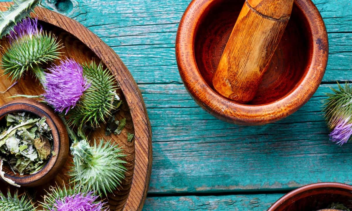 Milk Thistle: Benefits and Side… | Cary Gastroenterology Associates