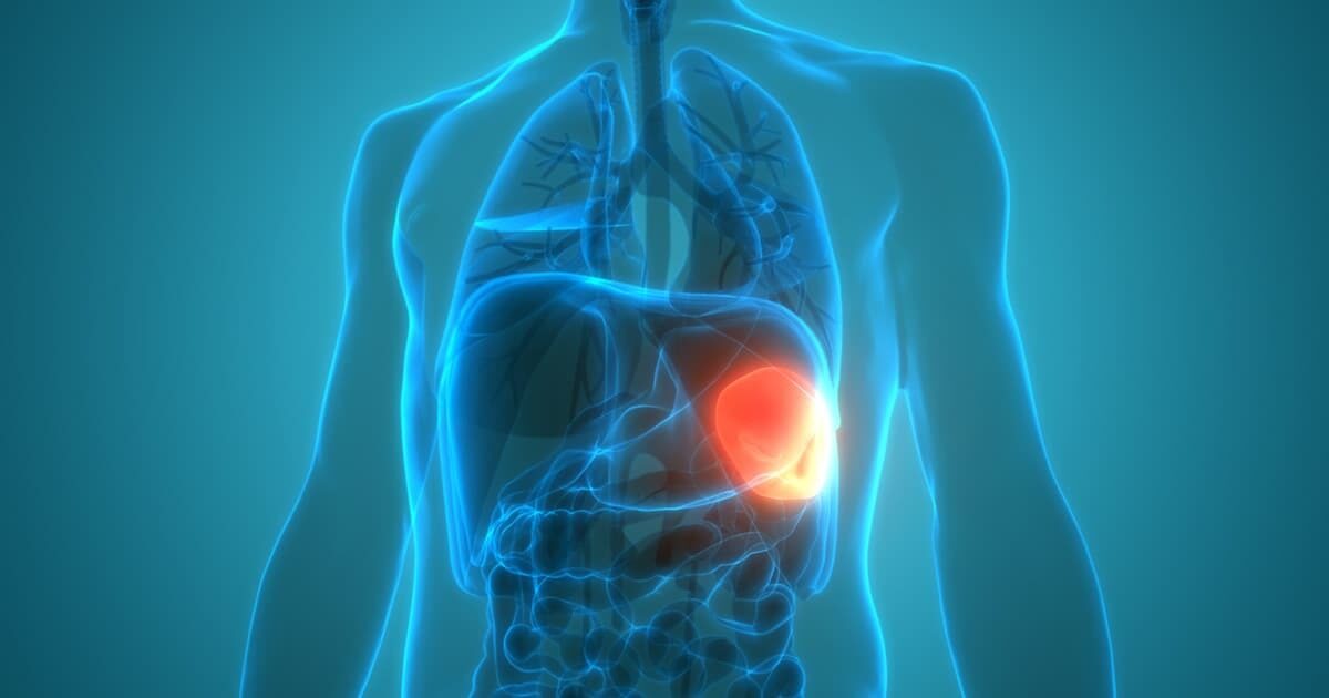 Cary Gastroenterology Associates | What Is the Function of the Spleen?