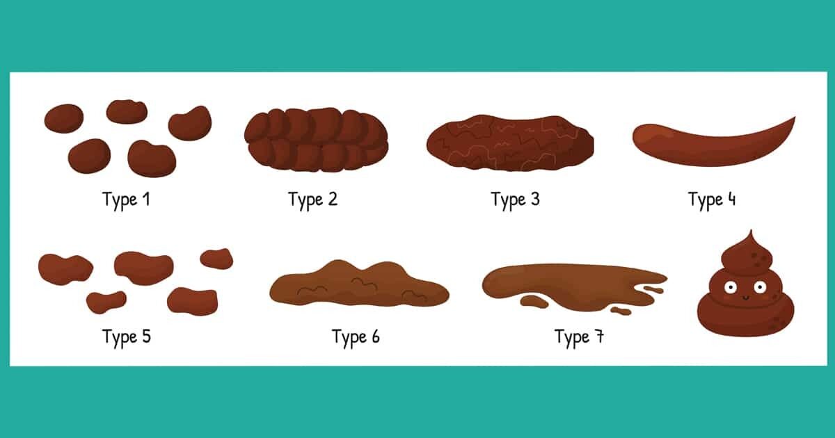 Bristol Stool Chart: Checking If Your Poop Is Healthy, 46% OFF