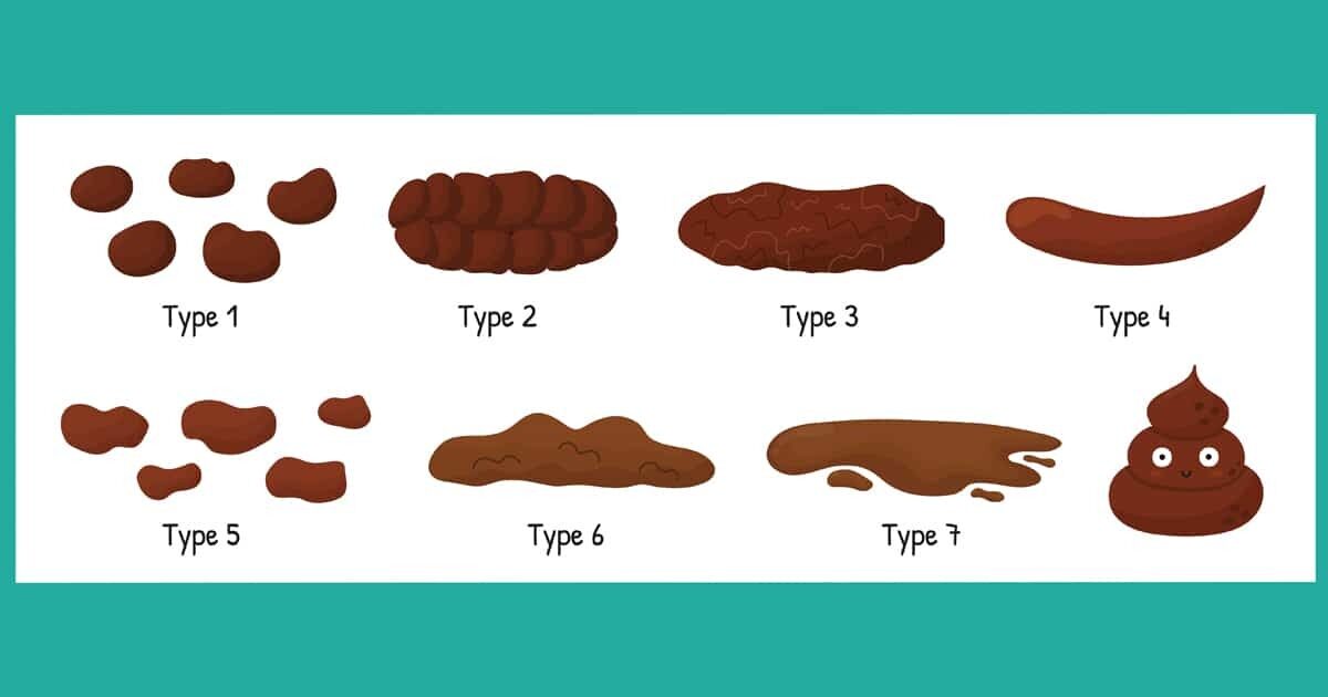 Types of poop: Appearance, color, and what is normal