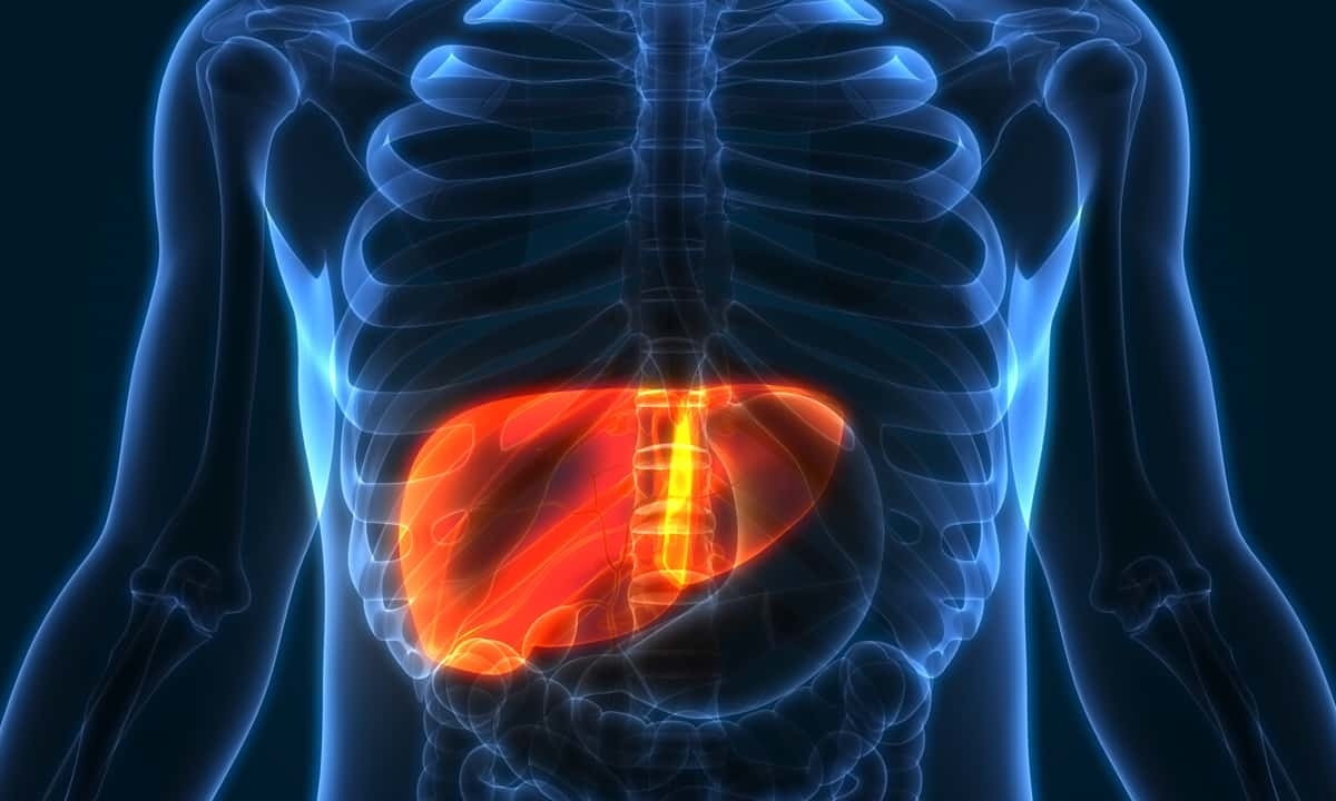 Fatty Liver Disease